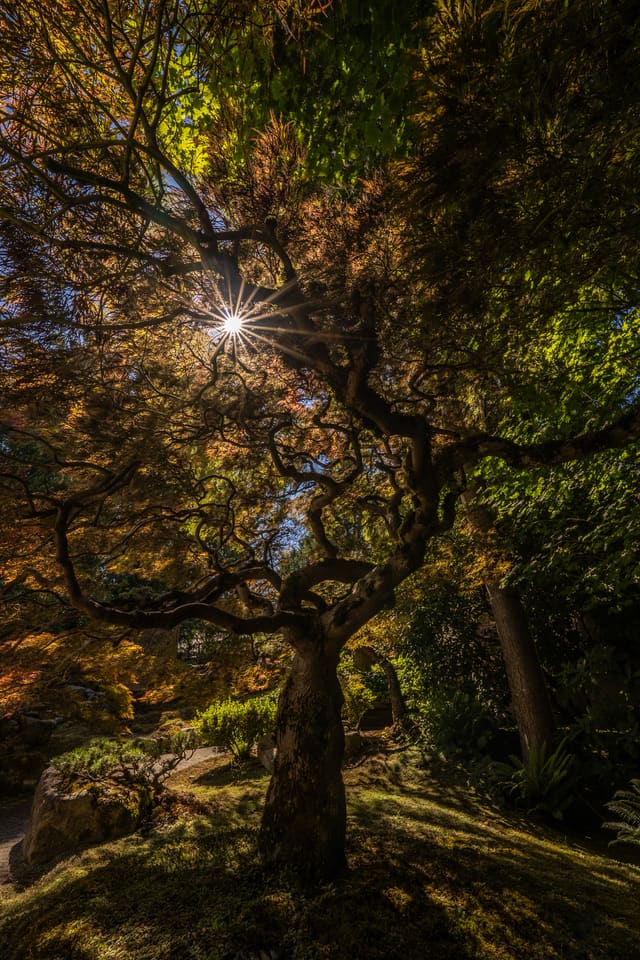 295B29E0-2515-49AA-B348-CE0B00ED5DD4.jpg