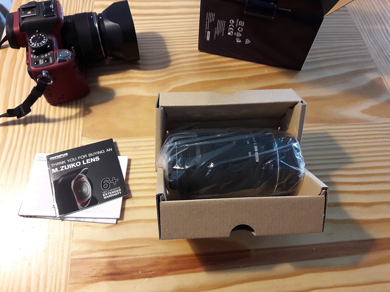 Panasonic Lumix GH1