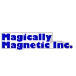 Magically Magnetic category