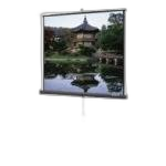 Projector Screens & Accessories category