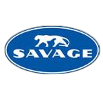 Savage category