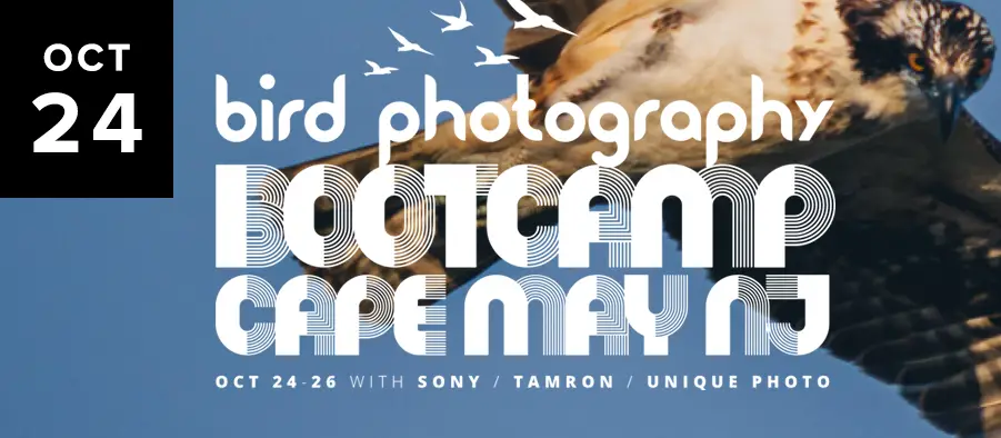 Birding Bootcamp