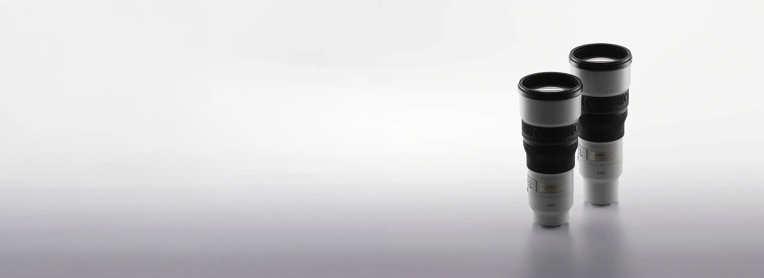 <p style="font-weight: bold;letter-spacing: 2px;">SONY</p><h1>NEW 400mm & 600mm FE Lenses</h1>