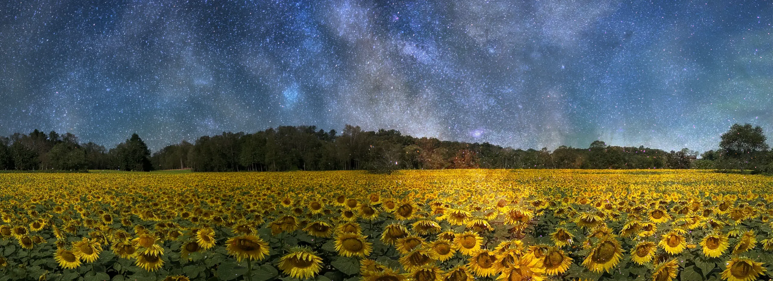 <h1 style="
color: #f4d273;
">Sunset Sunflowers</h1><h2>Astrophotography</h2><p>with SIGMA and Jack Fusco</p>
