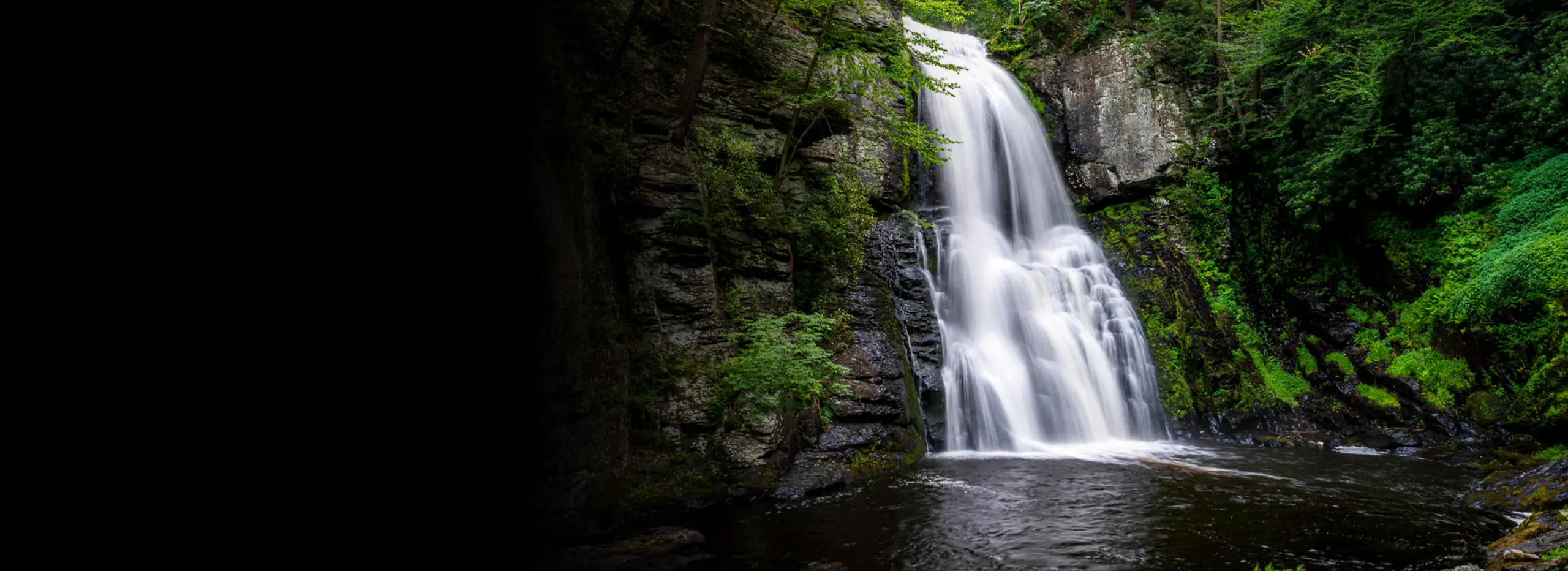 <h1 style=" ">Bushkill Falls</h1><h2 style="line-height: 1.4em;">Photo Excursion with Michael Downey</h2><p>Saturday, July 26</p>