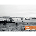 Ars Imago - Imago 320 120 BW Film 1