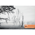 Ars Imago - Imago 320 120 BW Film 2