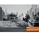 Ars Imago - Imago 320 120 BW Film 4