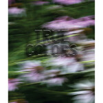 Zora J Murff - True Colors (or, Affirmations in a Crisis) 0