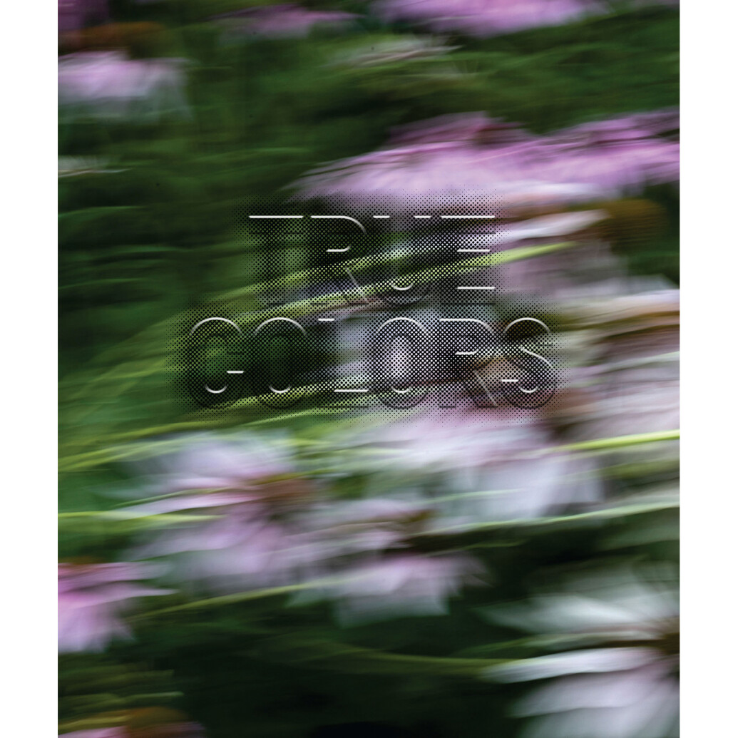 Zora J Murff - True Colors (or, Affirmations in a Crisis)