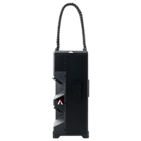 Aputure Storm 1200x w / Wide Reflector 17