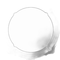 Aputure Spotlight Max ETC Lens Adapter 2