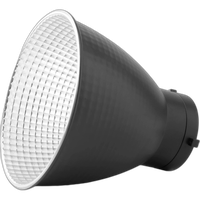 Amaran Ray 360c LED Monolight 1