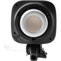 Amaran Ray 360c LED Monolight 4