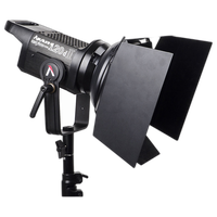 Aputure Light Storm LS C120D II LED Light Kit with V-mount Battery Plate 2