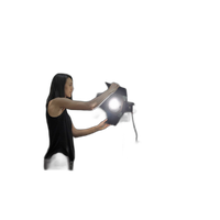 Aputure Light Storm LS C120D II LED Light Kit with V-mount Battery Plate 9