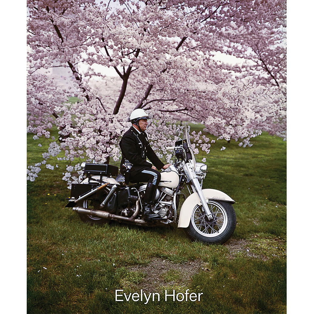 Evelyn Hoffer - Encounters