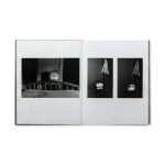Lee Friedlander Retrospective 1