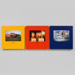 Chromes - William Eggleston 3