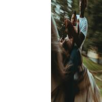 Eight Seconds: Black Rodeo Culture -  Ivan McClellan 2