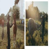 Eight Seconds: Black Rodeo Culture -  Ivan McClellan 4