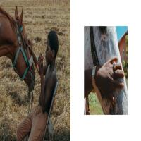 Eight Seconds: Black Rodeo Culture -  Ivan McClellan 5