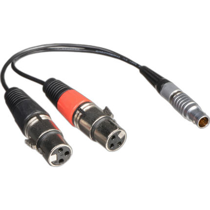 Atomos XLR Breakout Cable for Shogun (Input Only)