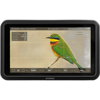 Atomos Shinobi II 5.2in HDMI HDR Monitor 4