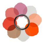Manfrotto Portrait Filter Set for Lumie Series LED Lights 0