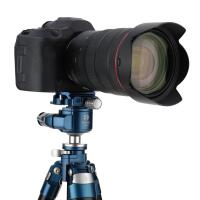 Benro G36PT Low Profile Inverted Ballhead 16
