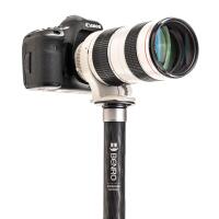 Benro MSD36C SupaDupa Carbon Fiber Monopod (64.9) 1