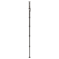 Benro MSD36C SupaDupa Carbon Fiber Monopod (64.9) 11
