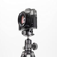 Benro GX25 Lowprofile Ballhead 2