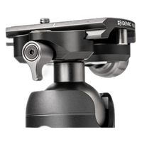 Benro VX25 Ball Head 2
