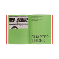 Race Stories: Essays on the Power of Images 2