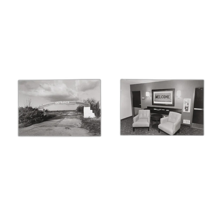 Life Still - Lee Friedlander