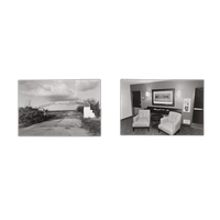 Life Still - Lee Friedlander 0
