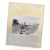 Life Still - Lee Friedlander 3