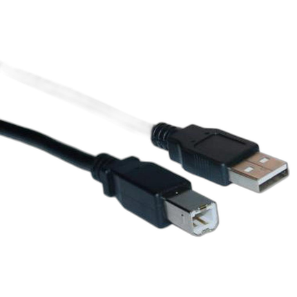 USB Type A Male / Type B Male Cable, 2.0 Version, Black, 10 ft