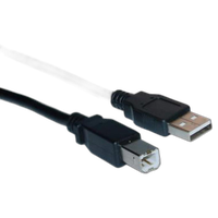 USB Type A Male / Type B Male Cable, 2.0 Version, Black, 10 ft 0