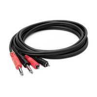Hosa Technology Two 1/4in Phone Male to Two RCA Male Unbalanced Cable 6.6FT 1