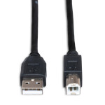 Hosa Technology USB 2.0 Cable A to B (10FT) 2