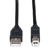 Hosa Technology USB 2.0 Cable A to B (10FT) 2