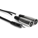 Hosa Technology Stereo Mini-Phone (3.5mm) Male to 2 XLR Male Y-Cable - 6.6FT 1