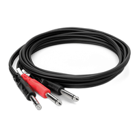 Hosa Technology Stereo 1/4in Male to (2) Mono 1/4in Male Y-Cable - 9.84FT 1