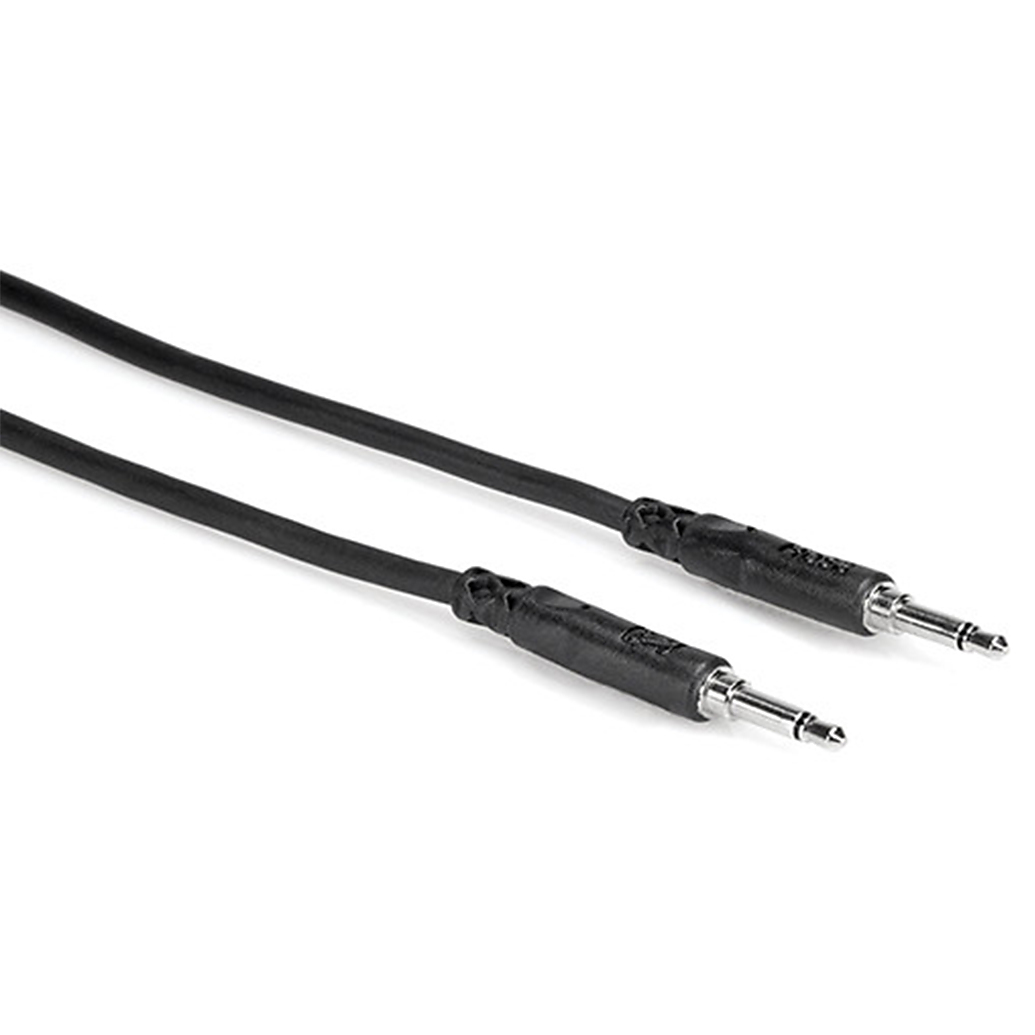 Hosa Technology Mini Male to Mini Male Cable (5FT)