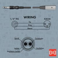 Hosa Technology Stereo 1/4in Male to 3-Pin XLR Male Interconnect Cable - 20 4