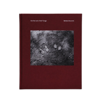 One Star and a Dark Voyage by Barbara Bosworth 0