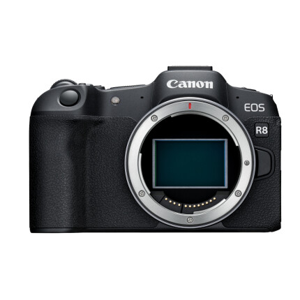 Canon LP-E17 Li-ion Battery Pack