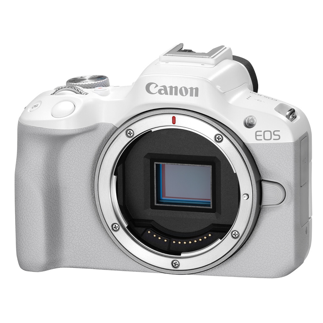 Canon EOS R50 Mirrorless Camera (White, Body Only)